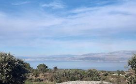 Camping Brizi